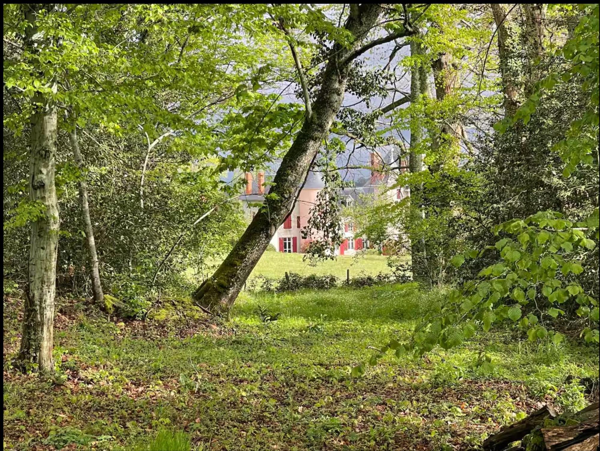 Chateau De La Combe La Celle  Esterno foto