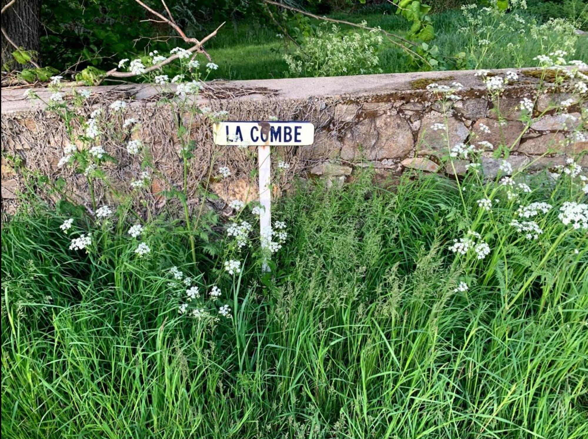 Chateau De La Combe La Celle  Esterno foto